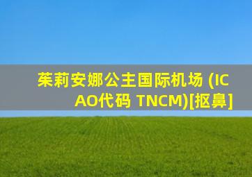 茱莉安娜公主国际机场 (ICAO代码 TNCM)[抠鼻]